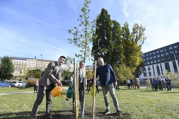A ŠKODA AUTO felel világszerte a Volkswagen Csoport MQB-A0 globális platformjáért